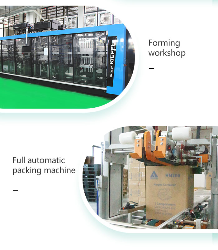 togo food boxes factory togo food boxes factory