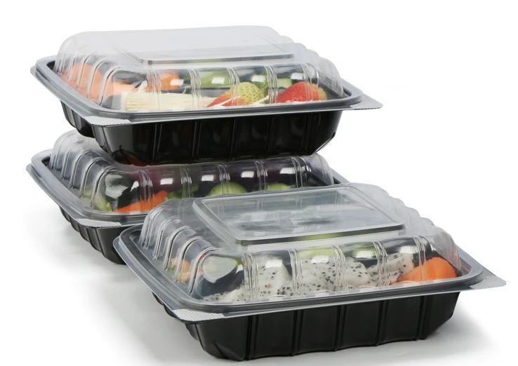 disposable lunch boxes