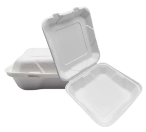 8 tuuman Bagasse To Go -ruokasäiliöt