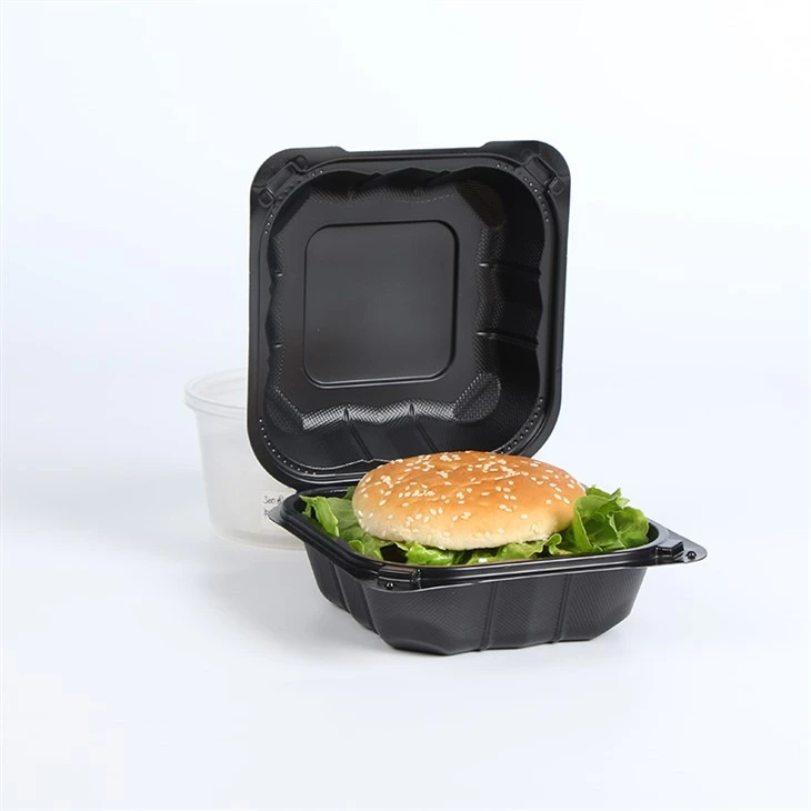 Ympäristöystävällinen kertakäyttöinen Bento Box