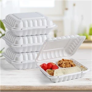 9''x9'' muovinen takeout-ruokaastia