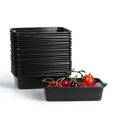 Take Out Container Food Box