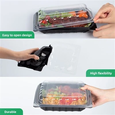 Take-out Plastic Containers Take-out Plastic Containers